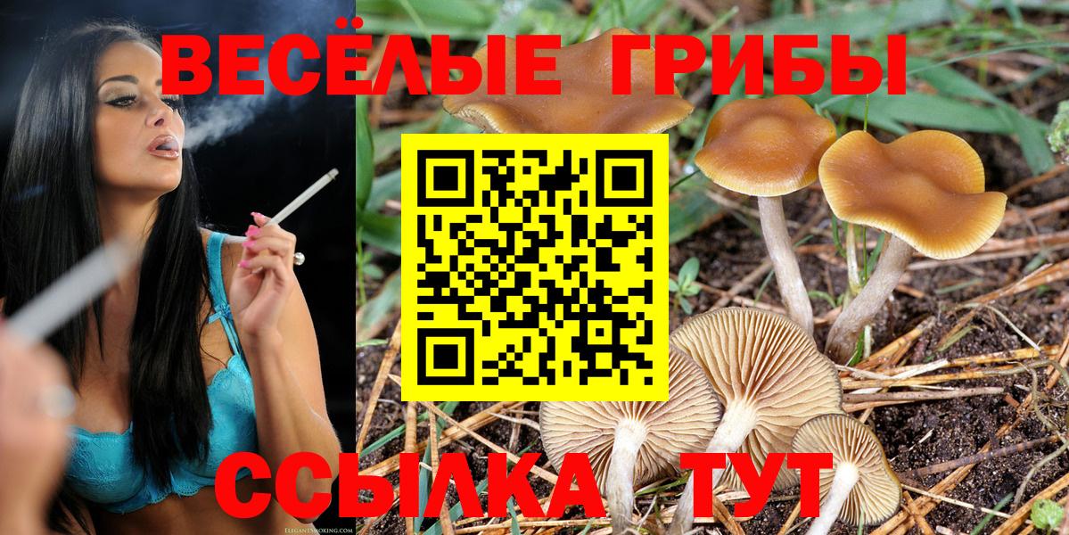 Галлюциногенные грибы MAGIC MUSHROOMS Городец