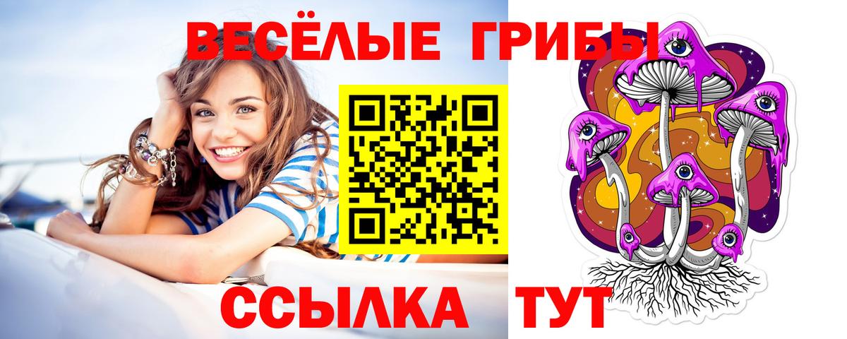 Городец  Псилоцибиновые грибы мухоморы  Вход с VPN 