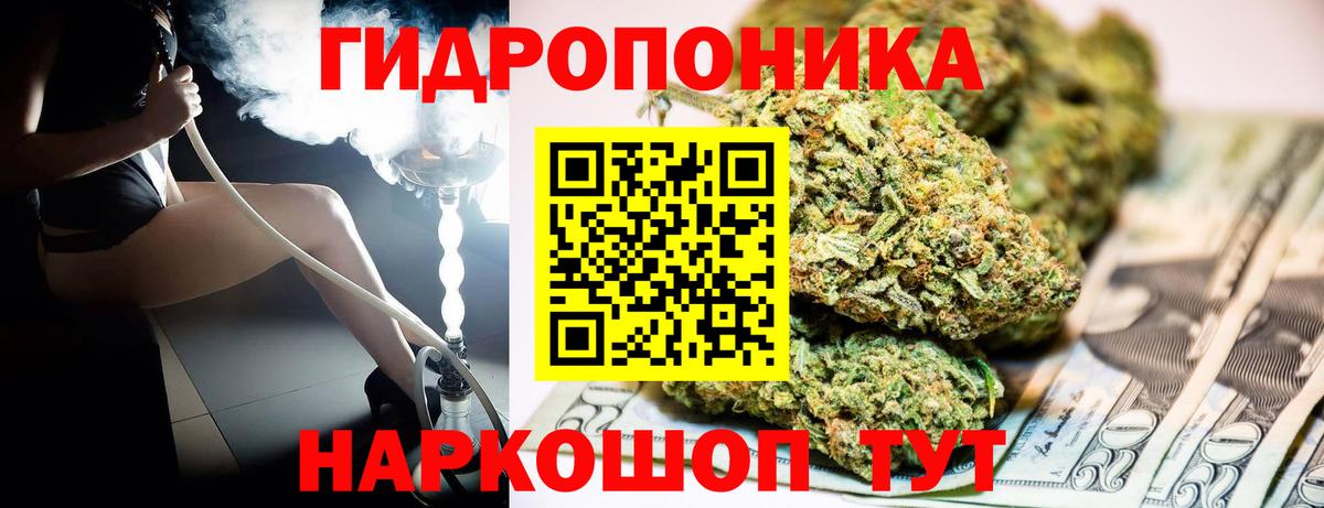 Шишки марихуана Bruce Banner  Вход с VPN  Городец  Каннабис AK-47  Марихуана ГИДРОПОН  Каннабис AK-47 